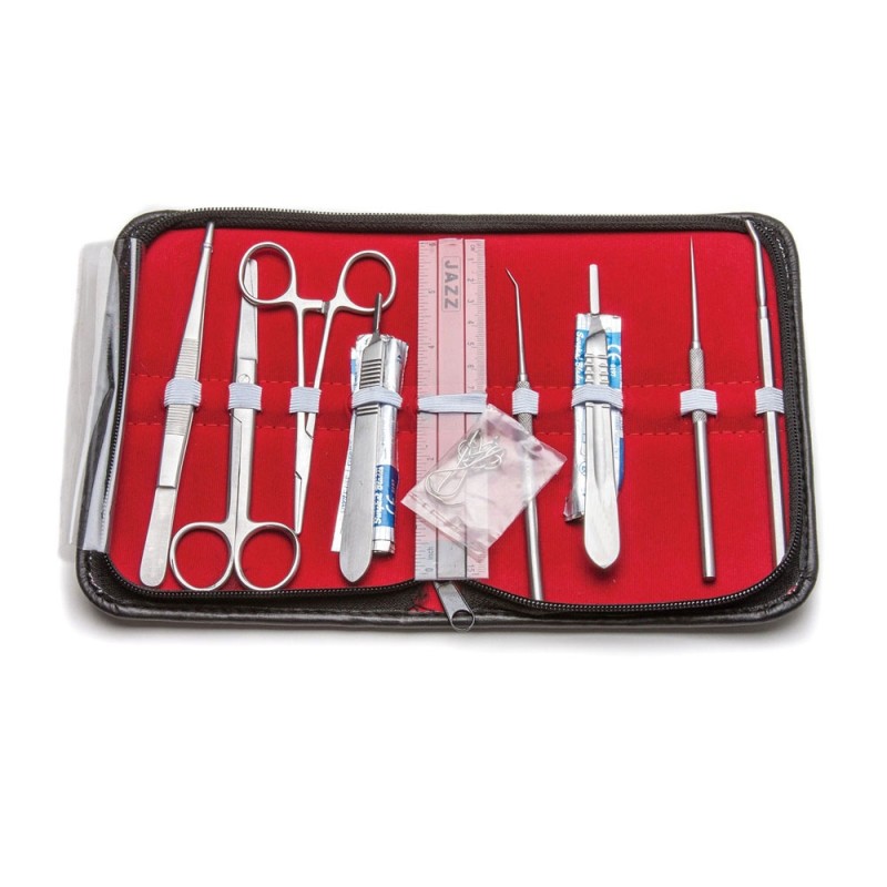 Students Anatomy Kit